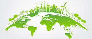 Principal's Signature